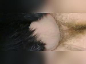 Forbidden Desires:  Zoophilia Exposed