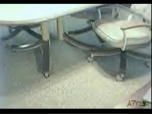 Sex with Dogs Videos