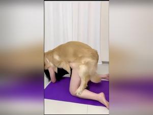wild chinese girl doggy style