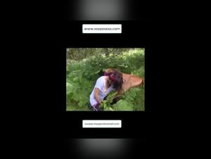 Hardcore Movie Bestiality: The World of Extreme