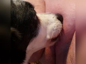 Chubby mom's filthy water games with her dog