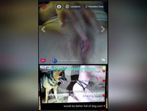animal baise brute