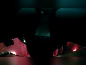 Wild Beasteality Encounter with Dog owner