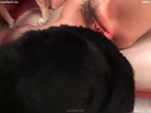 Big Dog Asian Sex XXX