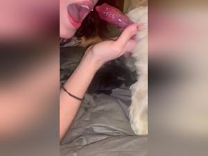 Die Geheimnisse des ficksicking-Hundes: Wenn wird er nach Sex festgeklemmt?