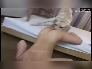 animal abuse: an unacceptable reality