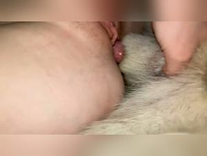 Forbidden Desires: Animated