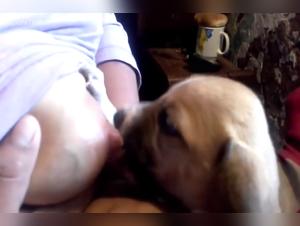 Forbidden Meeting: Woman and Dog