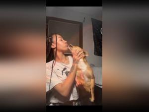 Bestiality sex video: a woman and her dog