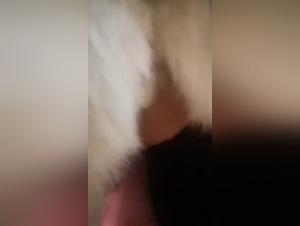zoo beeg action, xnxxzoo quickies extreme