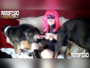 félin sauvage chien sexe