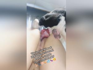 Forbidden Pleasures: Delving into Bestiality