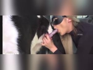 Salope baise chien voiture