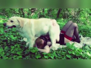 Zoophilia Deseada: Yasmin y Su Perro en Actos Privados