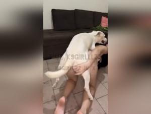 weisse hunde lust