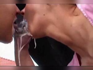 Salope suce cheval, sexe animal hardcore