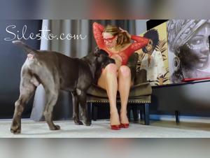 Silesto Veronica: Crazy Dog Frenzy