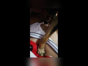 hunde sex, brutales lusts