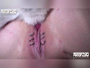 Extreme Dog XXX Videos - The Best of the Worst
