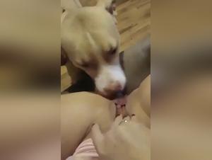 Doggy Sex with a Brunette: A Powerful and Intense Experience