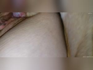 Beyond Boundaries: Unveiling Animal Desire