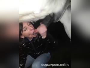 Sexy Girl and My Dog Having a Good Time at Home