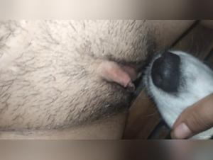 Zoo Beeg: Unleashing Untamed Enluxure and Desire