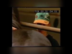 Zoophilia video with a horse - A unique bestial experience