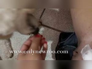 Beautiful Brazilian teenager and her dog in a bestiality scene