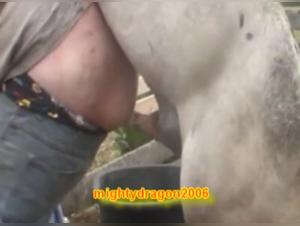 Bestiality sex: Man and stud