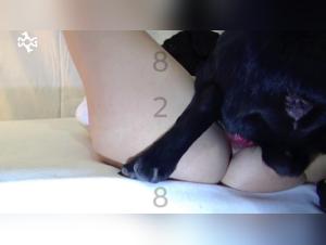 Amateur Video: Forbidden Pleasures of Bestiality