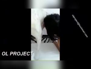 The Slutty Chicks of Charlotte and Her Dog, Free Porn Video