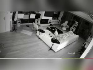 Video of Sex with a Dog