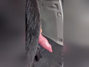 Ethical Dilemmas & Hard Truths