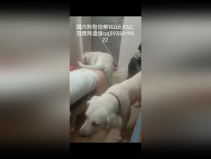 chinese bestiality: explore k9 dog fantasies