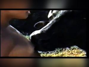 Cow has fun with two girls in an extreme zoophilia video