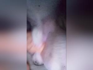 slut devouring big dog balls insanely