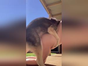 Extreme Bestiality Video: Teen Girl and Her Dog