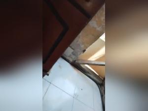 Die heieste und skiligste Frauen der Tierwelt