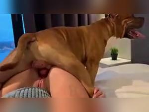 best friend animal fucking