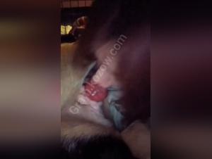 Hund vögelt eine Frau