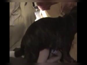 Woman subjected to giant dog in bestiality video