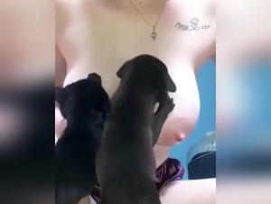 Salope suce son chien pendant la bonne luitte