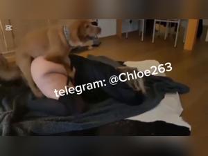 Hund Sex mit Frau - Extrem Porn Videos