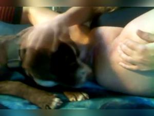 Video of Sex with a Dog