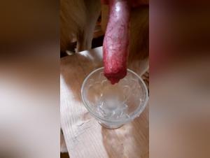 Dog sex videos for bestiality lovers