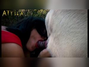 Belle Morena offers herself to two dogs in the forest - Zoophilia video