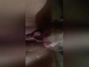 Bestiality sex video: a woman and her dog