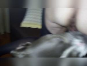 Forbidden Meeting: Bestiality and Zoophilia