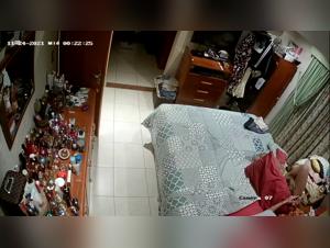 Woman caught in action with a dog: a shocking beastly video